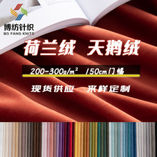 天鹅绒布面料布丽丝绒荷兰绒加厚短毛绒面料单面绒韩国绒沙发布料