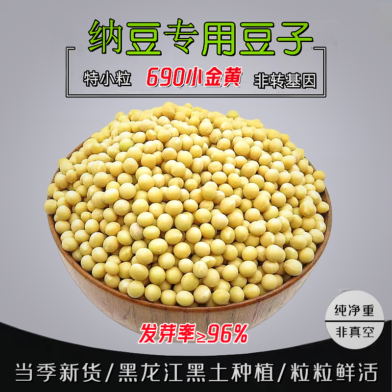 纳豆黄豆极小粒690小黄豆农家自种生发豆芽豆小金黄