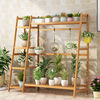 Flower trellis balcony Stands child Botany Bamboo multi-storey Scindapsus a living room Chlorophytum Flower pot pylons Floor type