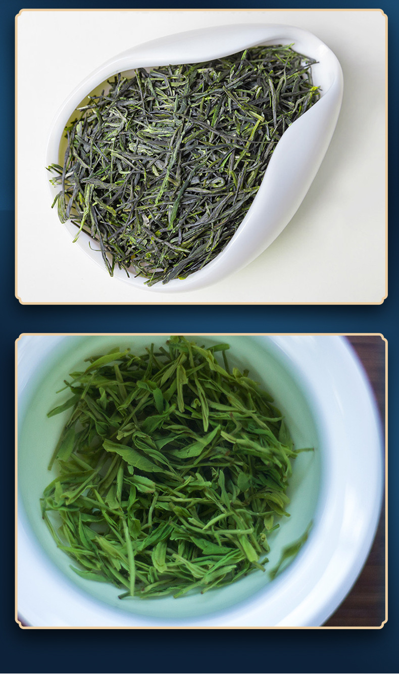 金色礼盒装蓝焙恩施玉露茶 现货批发恩施富硒茶 恩施罐装礼盒绿茶