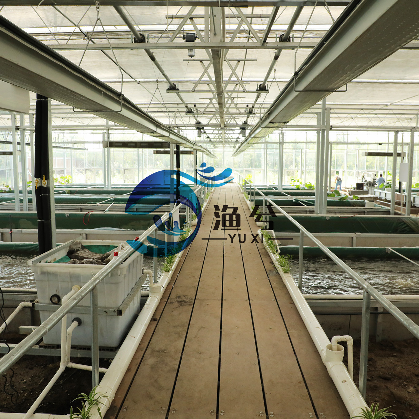 陆基室内水产养殖设备,高科技渔场水产养殖系统,鱼菜共生系统