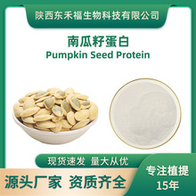 南瓜籽蛋白60% 南瓜籽提取物PumpkinSeedProtein白瓜籽蛋白1Kg