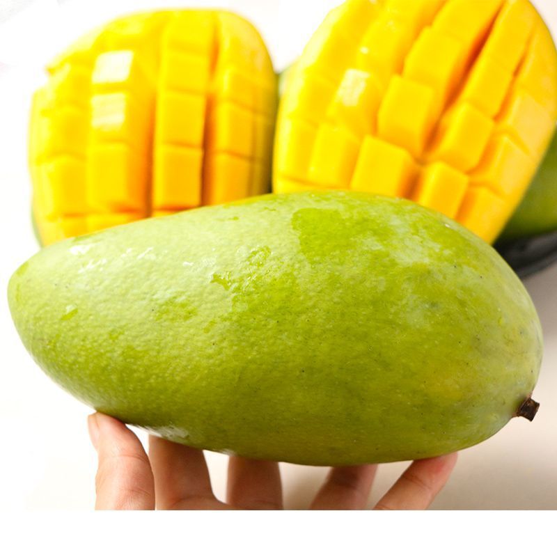 大青芒新鲜广西10斤当季热带现摘现发特大青皮芒果水果整箱1斤