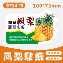 新鲜凤梨标签贴纸台湾金钻豆奶广东菠萝水果贴不干胶商标B