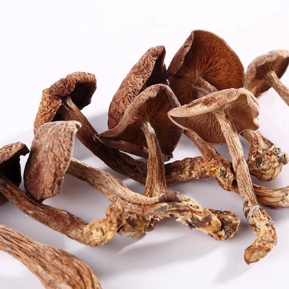 毛尖蘑鸡腿蘑野生毛尖蘑金子蘑嘉荫金矿特有菌菇野生毛尖蘑500克