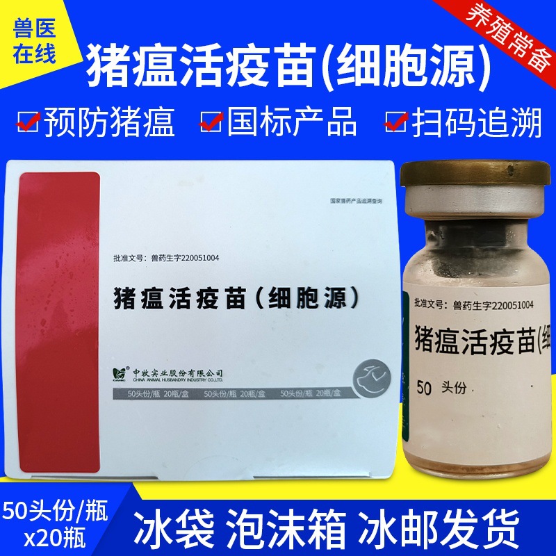 中牧猪瘟细胞源猪瘟活疫苗50头份/瓶小猪疫苗猪瘟疫苗一盒多盒价
