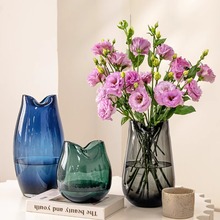 蓝色玻璃花瓶高级客厅大透明插花摆件ins干花水养轻奢马醉木绿植