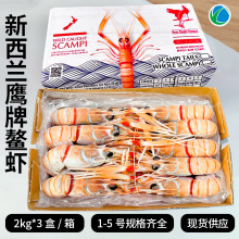 新西兰进口鳌虾刺身scampi斯干比小龙虾鲜冻南极深海海鳌虾2KG