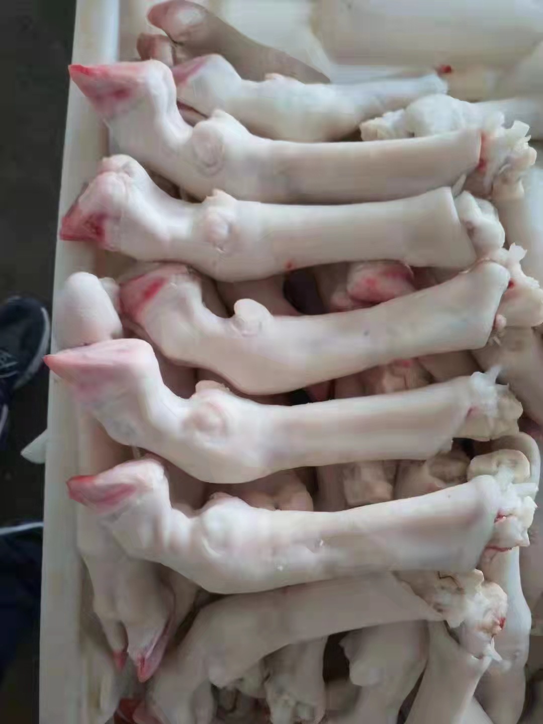 羊蹄 新鲜羊蹄羊蹄 烧烤羊蹄 可以烧烤 卤制一件10kg