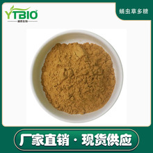 虫草多糖50%蛹虫草/冬虫夏草提取物 菌丝体原料粉 虫草素