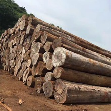 苏州直销尼奥维原木（非洲大红檀）进口原木 木料 家具工程用材
