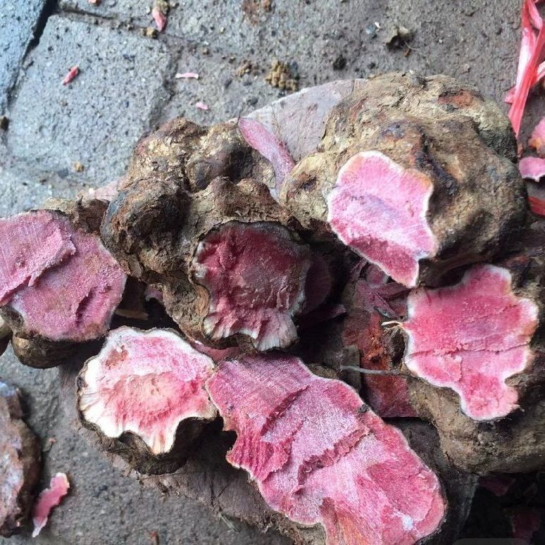 云南野生土茯苓袪湿红肉土茯苓产地直销红肉土茯苓日常汤料