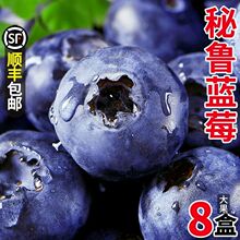 蓝莓大果鲜果新鲜当季水果孕妇辅食时令胜南怡颗梅一件批发亚马逊