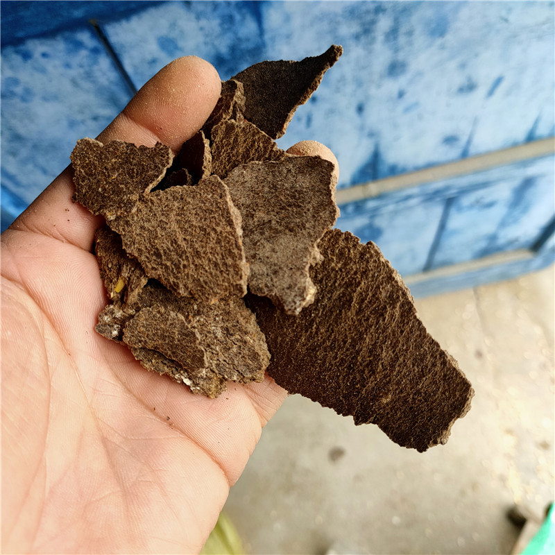 厂家现货供应胡麻饼 亚麻籽饼 添加辅料亚麻籽饼 植物性饲料