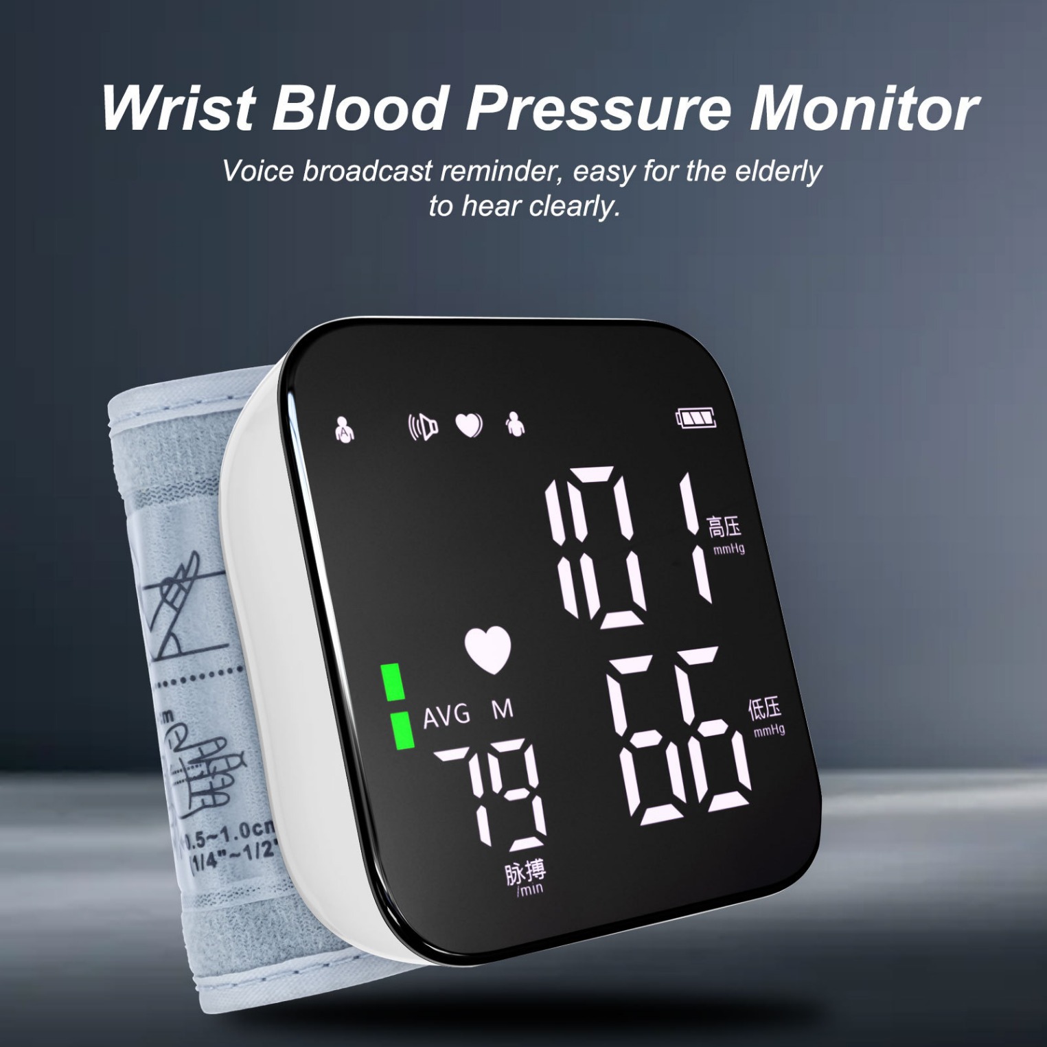 Product Image Gallery