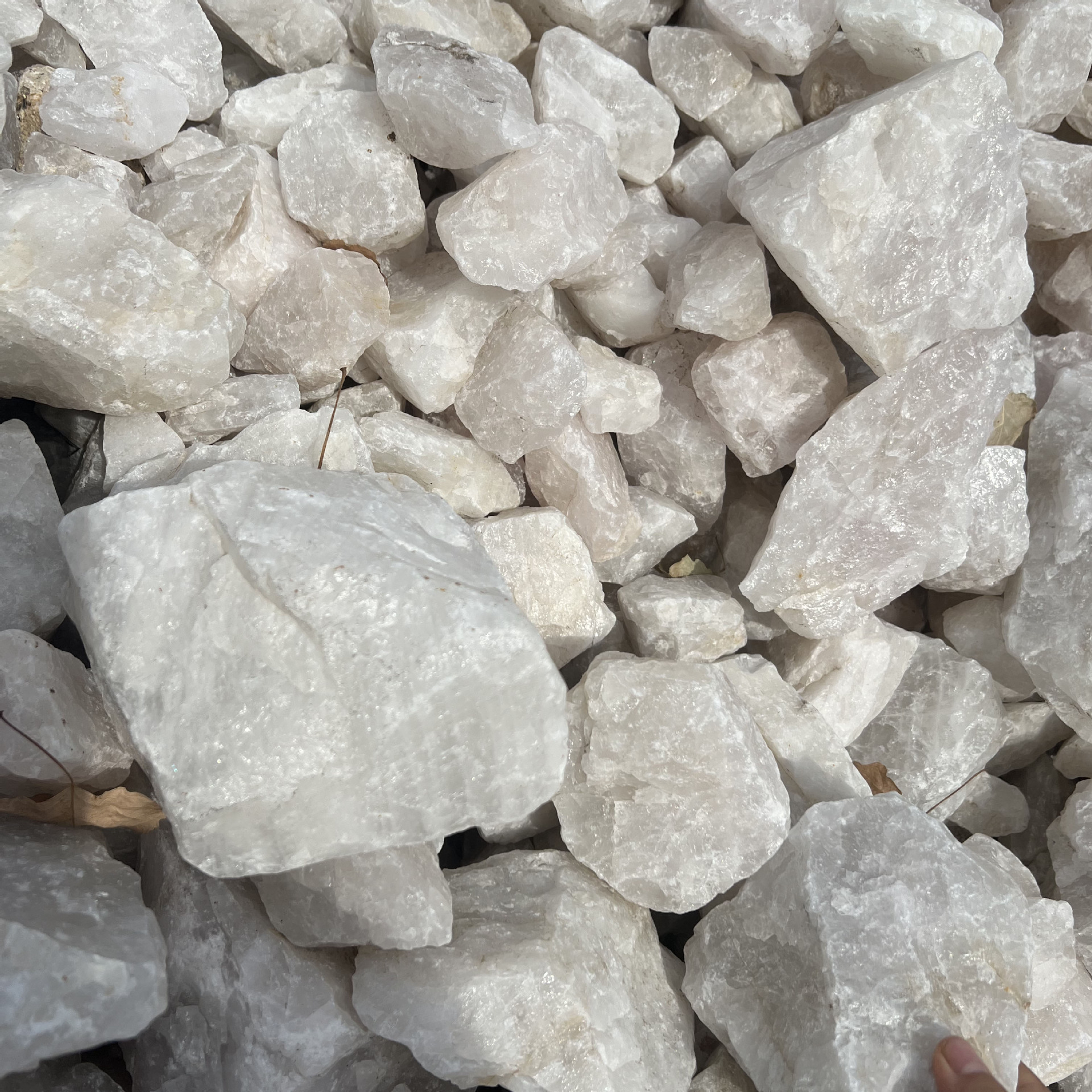 石英砂硅含量99.98源头厂家精致砂肌理砂高硬度高耐火石英砂
