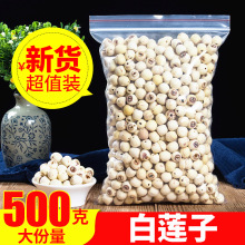 批天然去芯新货白莲子磨皮去通芯白莲子干货500g散装包邮白莲湘莲