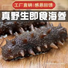 【顺丰】即食野生大连辽参刺参海参工厂批发非鲜活淡干货海渗独立