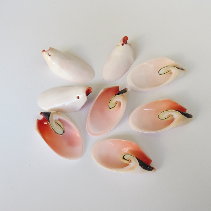 5(1kg280片)(cm)形状不规则材质贝壳是否进口否货号6产品编号孔雀片