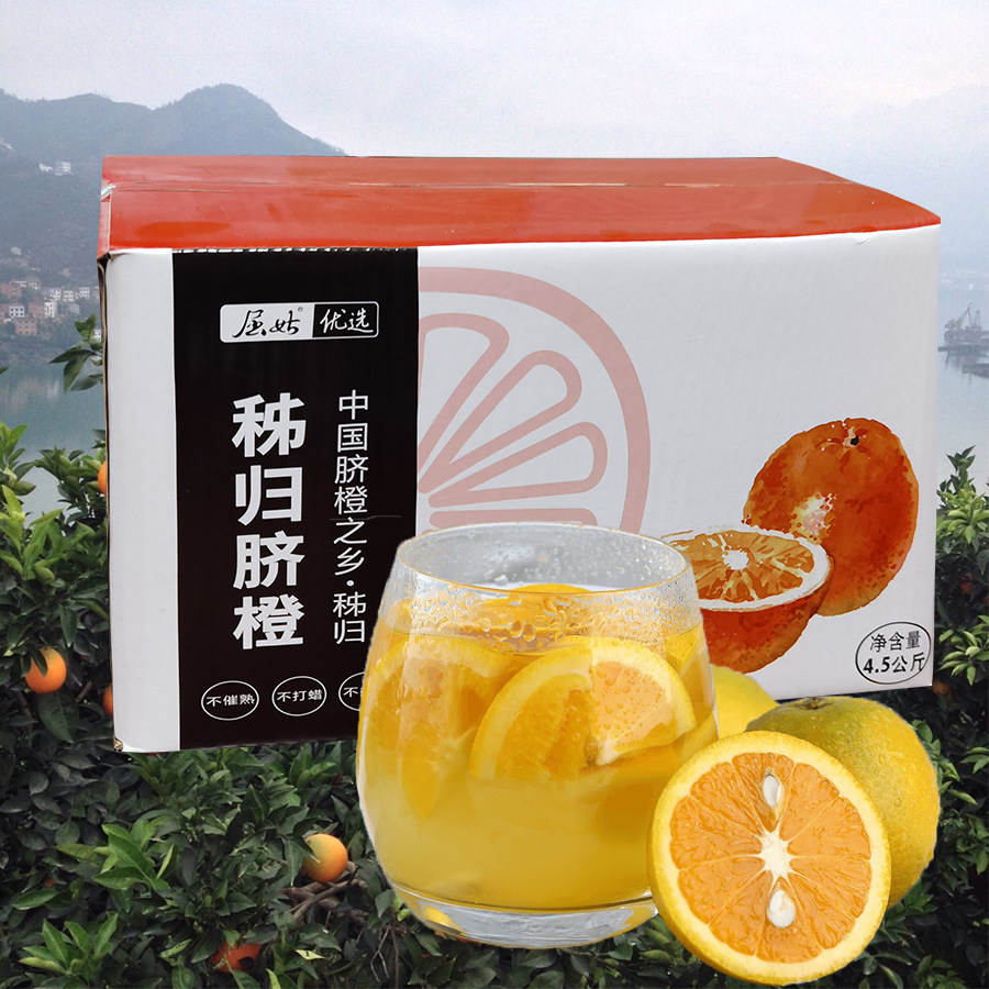 湖北秭归伦晚纽荷尔夏橙当季橙子新鲜水果整箱现摘产地直发批发