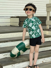 新款泳衣中小童男宝宝可爱绿色树叶分体短袖防晒速干夏季泳衣