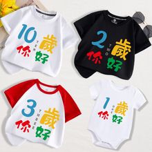 儿童宝宝文字1周岁生日数字2345拍照半袖男童女童夏装婴儿短袖t恤