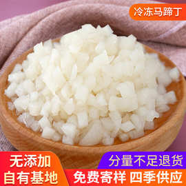 冷冻马蹄丁 冷冻新鲜蔬菜 速冻蔬菜马蹄丁 酒店餐饮炒菜饭店用品