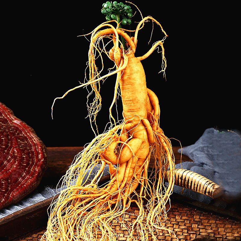 【正宗】长白山人参保鲜参大人参新鲜煲汤泡酒东北吉林人参园参