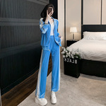 韩系气质蓝色休闲运动套装女秋洋气减龄显瘦金丝绒拉链卫衣两件套