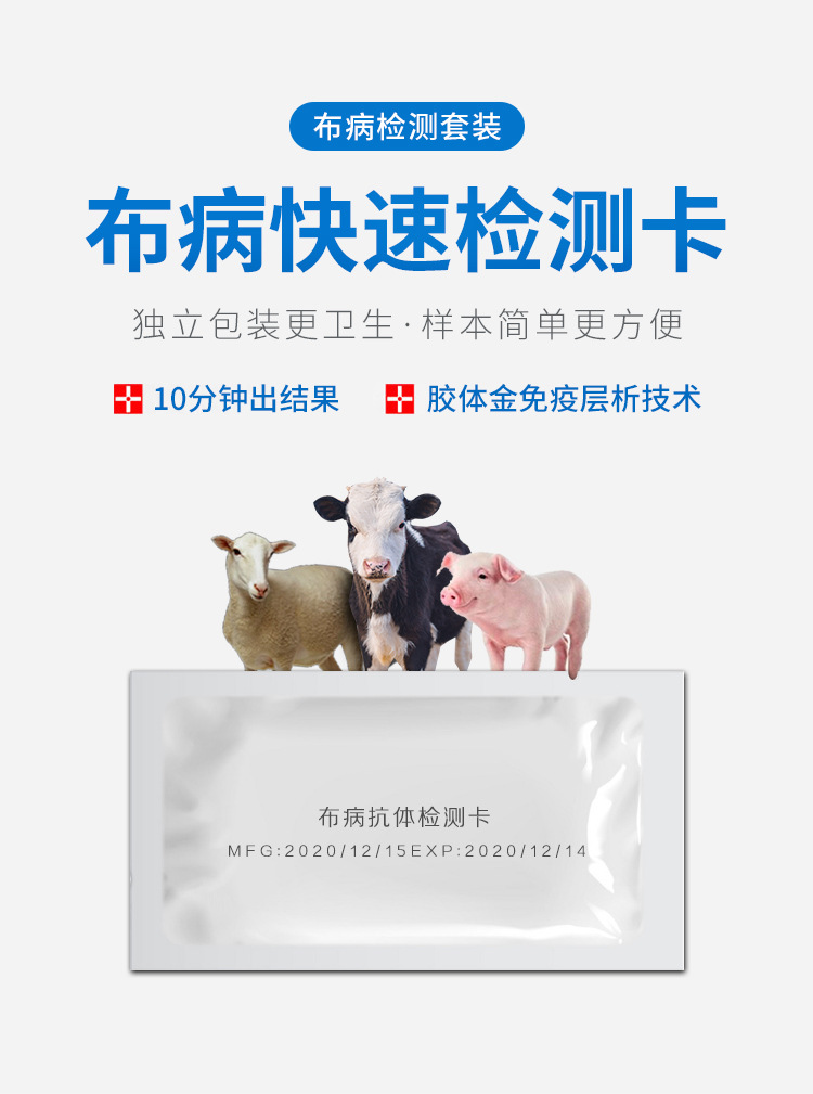 牛羊布病病毒检测卡布氏杆菌抗体检测试纸布菌病快速检测试纸
