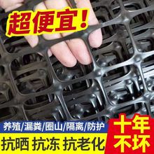 特厚耐用塑料网格网防护养鸡围栏网隔离网漏粪网玉米网果园防护网