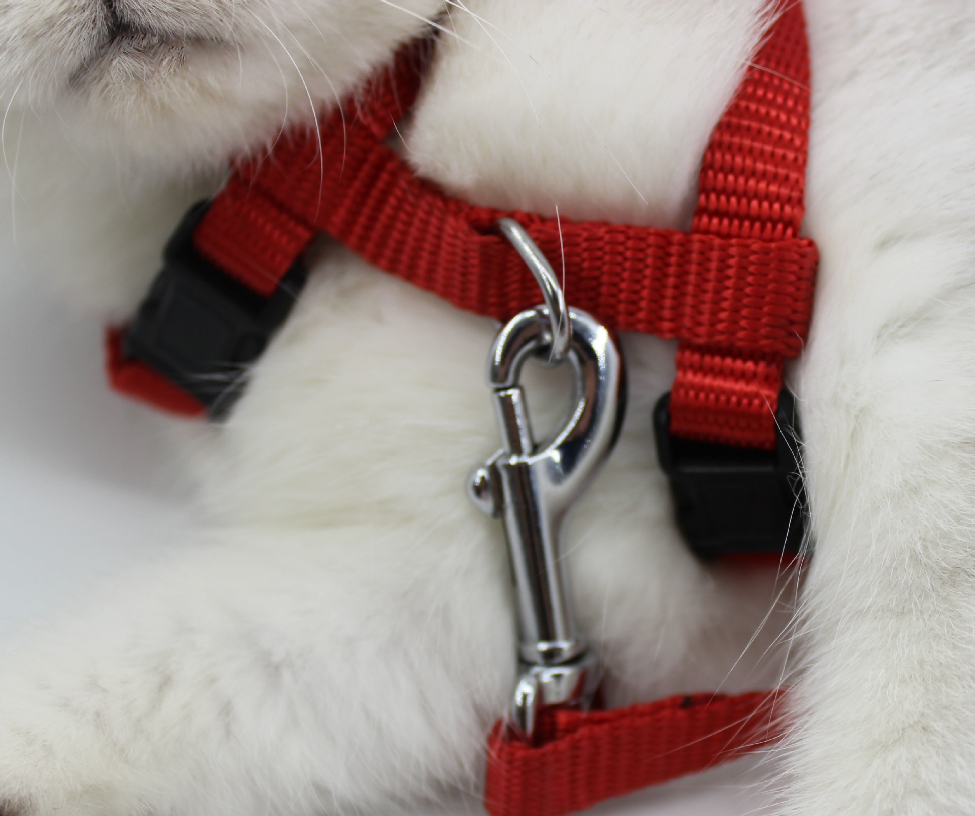 宠物猫咪用品批发 猫绳 工字型胸背带 拴猫绳 宠物猫狗牵引绳子