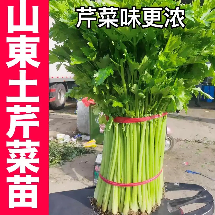 订购说明内容声明:阿里巴巴中国站为第三方交易平台及互联网信息服务