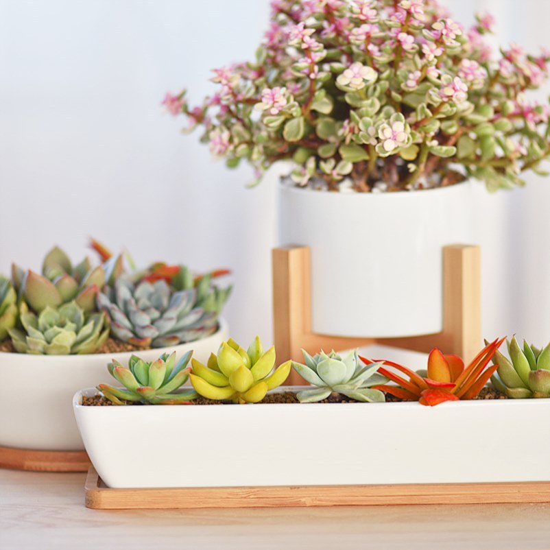 长方形陶瓷花瓶种花盆大口径盆家用养花容器室内多肉花盆长条型