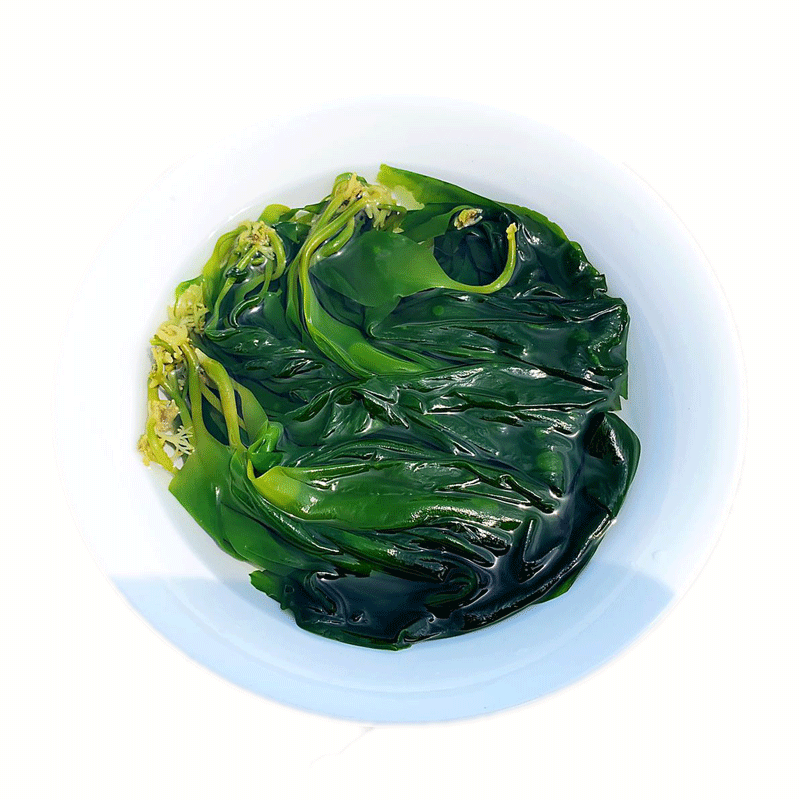 霞浦特产海带苗火锅麻辣烫凉拌食材无沙无泥火锅伴侣烫三秒嫩苗