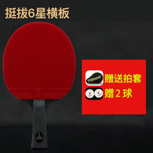 TIBHAR挺拔6星乒乓球拍单拍专业六星级成品拍碳素底板乒乓球拍横