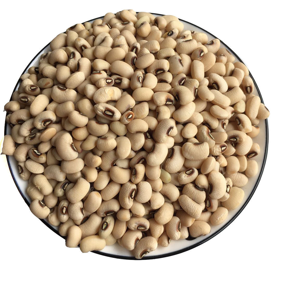 白豇豆眉豆新货1斤5斤云南特产酸菜米豆饭豆干豆白豆农家菜豆