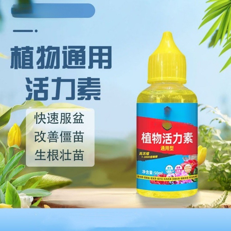 植物活力素促芽壮根生根多肉绿植盆栽生芽素浓缩肥料包邮到家