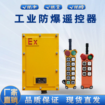 起重机防爆遥控器无线防爆遥控器bys-100s/bf21/bf24-12d新黎明