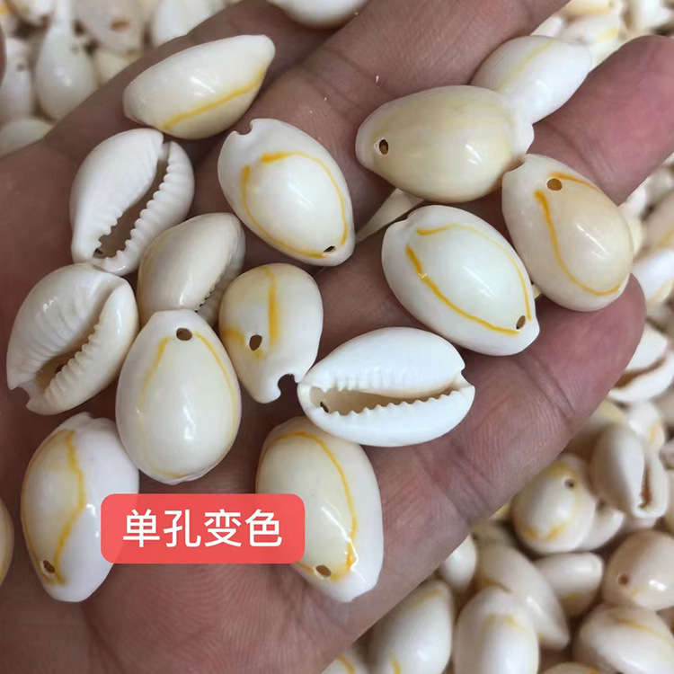 Natural Shell Wholesale Color Changing Style Non-Hole Single Hole Double Hole Small Shell DIY Handicraft Home Decoration Ornament Accessories