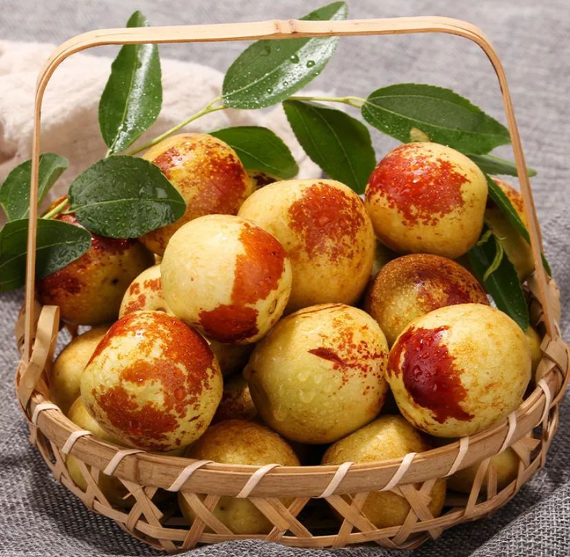 山东沾化冬枣原产地直销新鲜5斤现摘现发冰糖脆甜大包邮鲜枣冬枣o