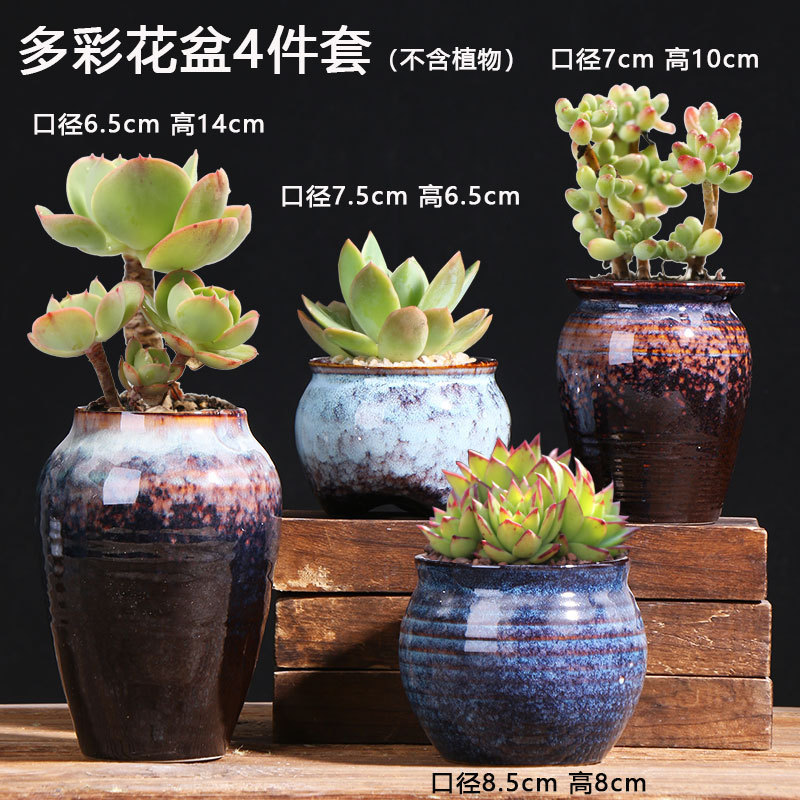多肉花盆肉肉植物大小创意老桩阳台内套装组合陶瓷罐