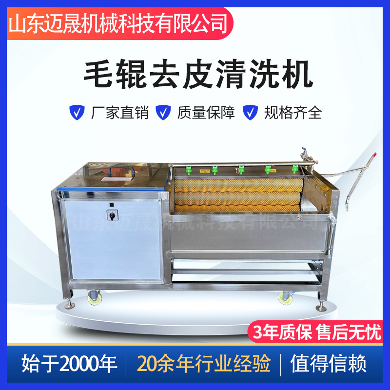 土豆去皮毛辊清洗机 根茎类果蔬清洗去皮机 现货红薯山药脱皮设备