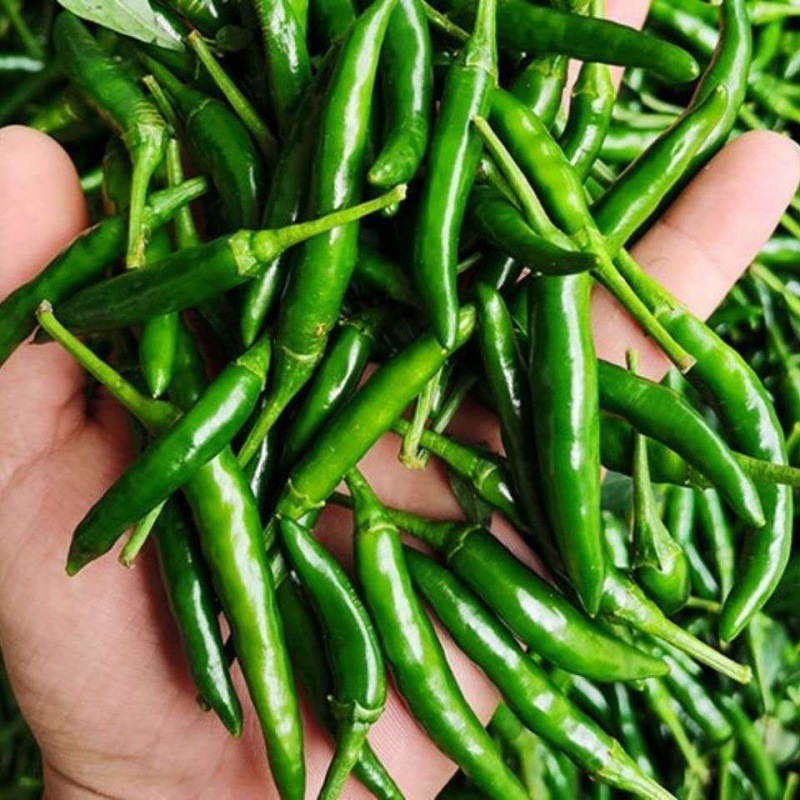 小米椒新鲜青朝天椒青辣椒小尖椒剁椒青米特辣现摘3/5/斤装-阿里巴巴