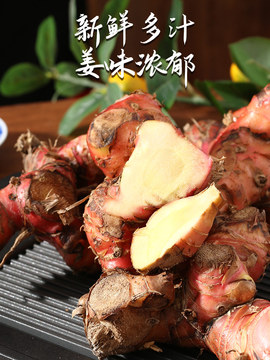 f广东潮汕新鲜南姜野生山姜芦苇姜牛羊肉火锅去腥味去膻提味调料