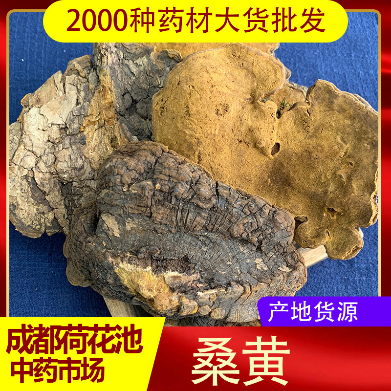 西藏正宗桑树桑黄灵芝正品桑黄一斤共500g-阿里巴巴