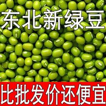 绿豆批发东北农家新绿豆绿豆粥解暑绿豆汤笨绿豆发芽绿豆糕粗粮