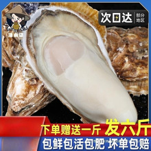 牡蛎新鲜带箱顺丰海鲜水产乳山海蛎子斤5商用整箱生蚝鲜活特大