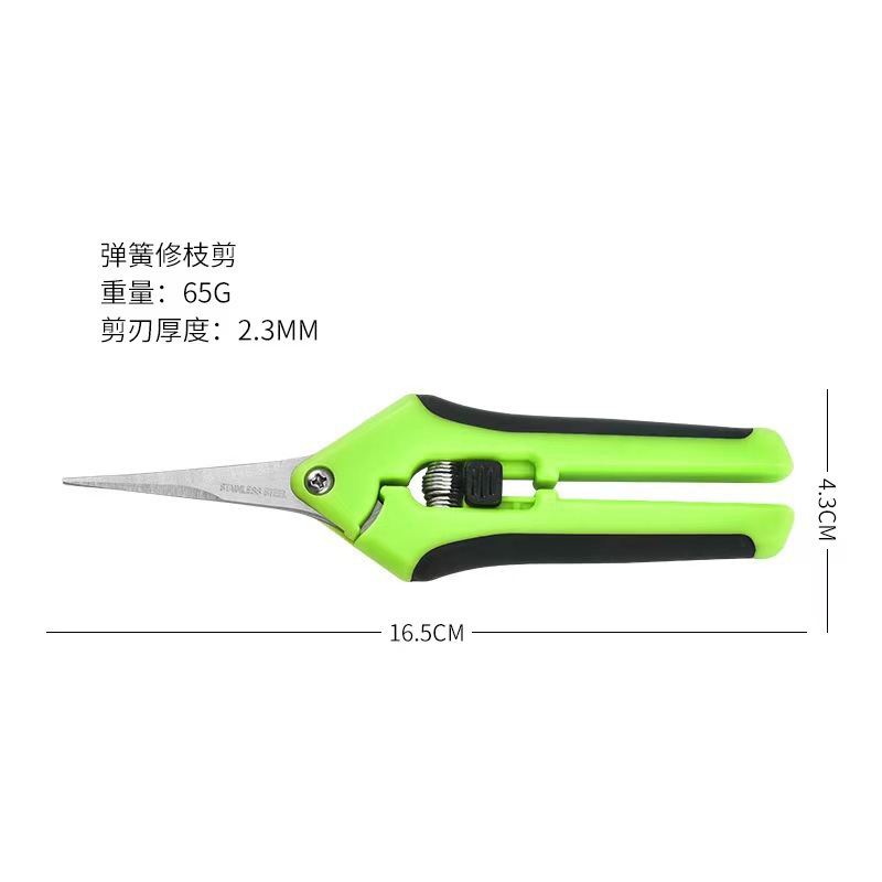 跨境新款不锈钢尖嘴葡萄剪刀多用途园林园艺花卉剪摘水果修枝剪刀
