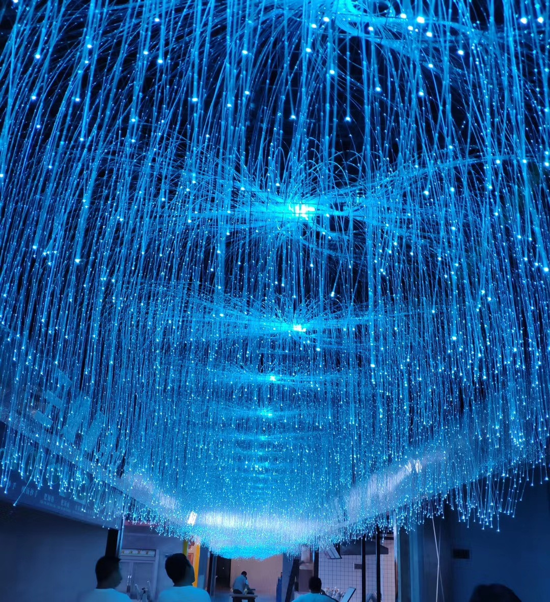 led实芯透明通体侧发光光纤光导光纤维导光条软质导光光纤灯材料